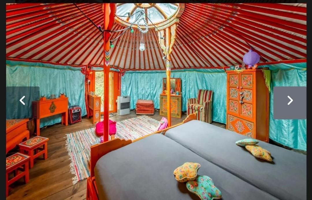 Yourte Mongole Et Cabane Houffalize Luaran gambar